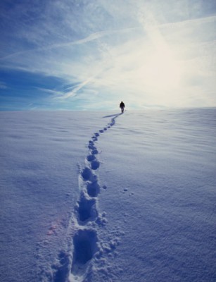 Winterwanderung am 07.01.2012 !