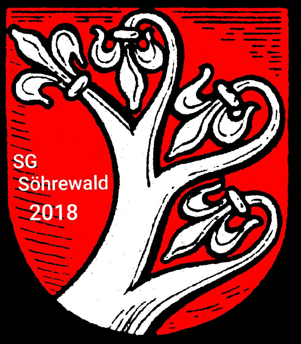 Neubeginn mit der SG Söhrewald